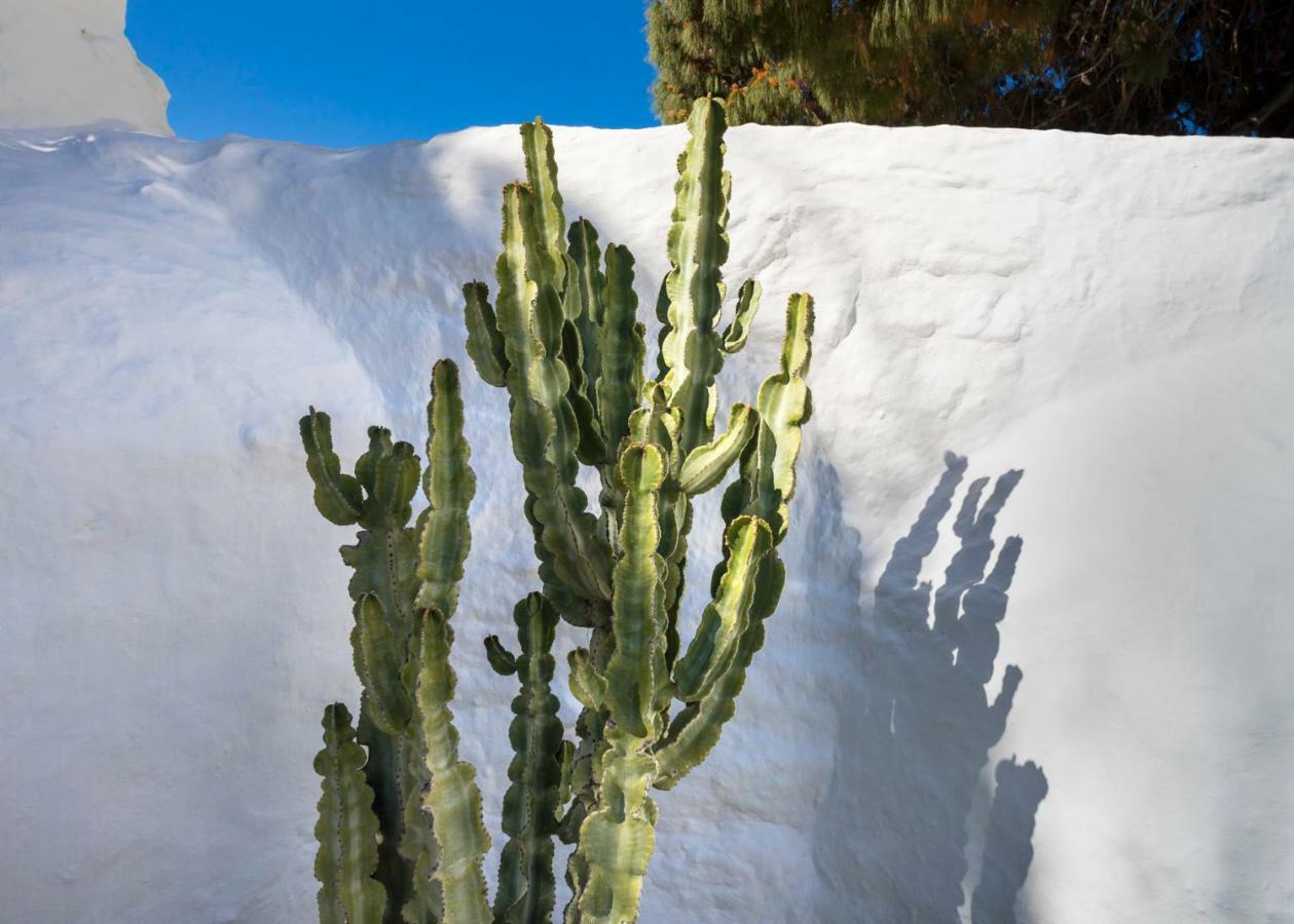 23 Hotel Mykonos Mykonos Town Zewnętrze zdjęcie
